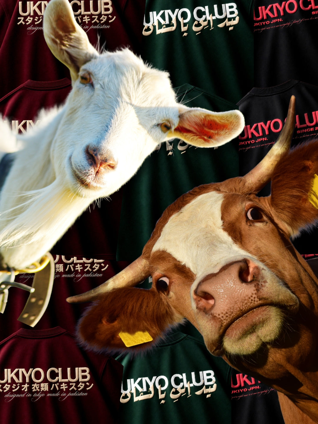 Bakra Eid Bundle